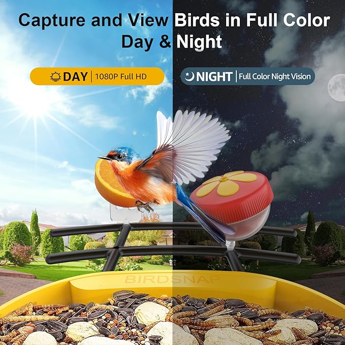 birdsnap® PAV- Smart Bird Feeder with Camera Solar Powered, 64GB Card & 2K HD Record Video Bird Camera Live with 5 DIY Add-ons, AI Identify Auto Capture, Ideal Gift for Birds Lover