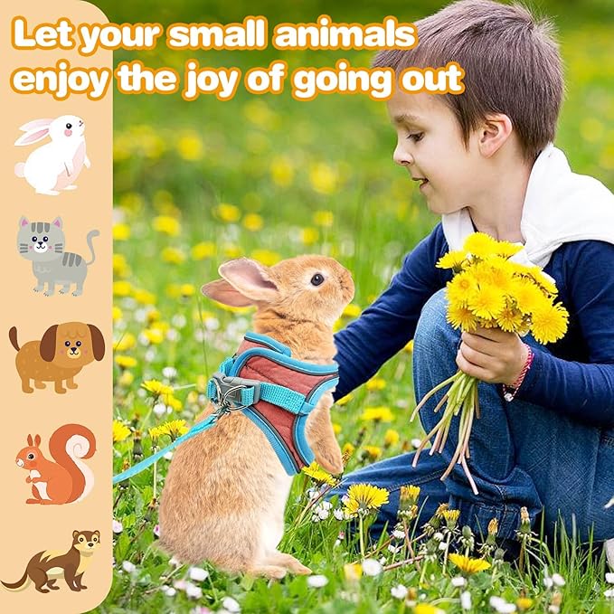 PINVNBY 2 Pack Bunny Hsrness and Leash Set Adjustable Rabbit Harness with Reflective Strips Double Buckle Pet Vest Eescape Proof for Small Rabbit Kitten Puppy Walks Accessories (Blue Pink, M)