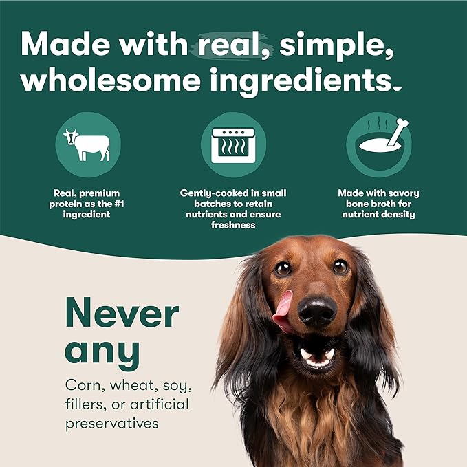 Jinx Chicken Dog Wet Food, Meal or Mix in Dog Toppers for Dry Food, Made with Real Chicken, Bone Broth & Brown Rice, No Fillers, Puppy, Adult, Senior, 9oz, 6 Pack