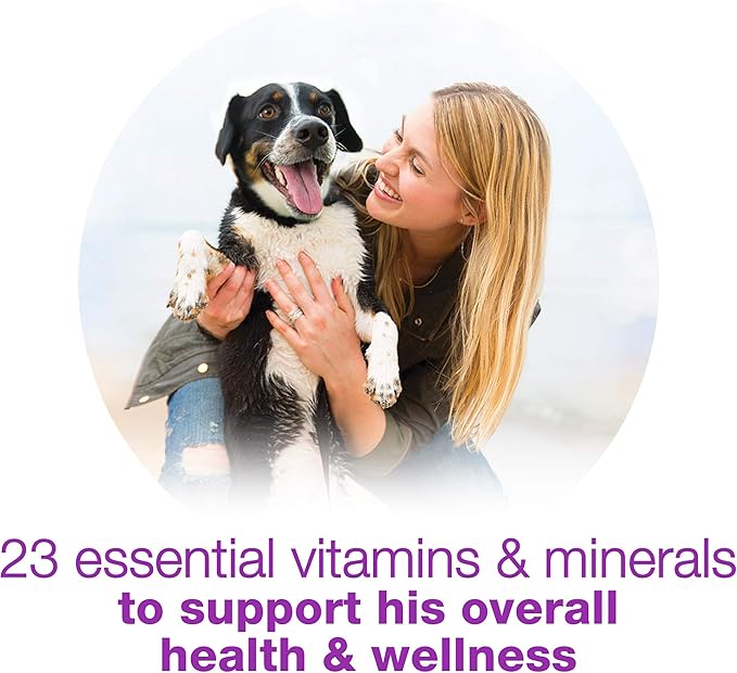 Purina Beneful Wet Dog Food Variety Pack, Prepared Meals & Chopped Blends - (16) 10 oz. Tubs