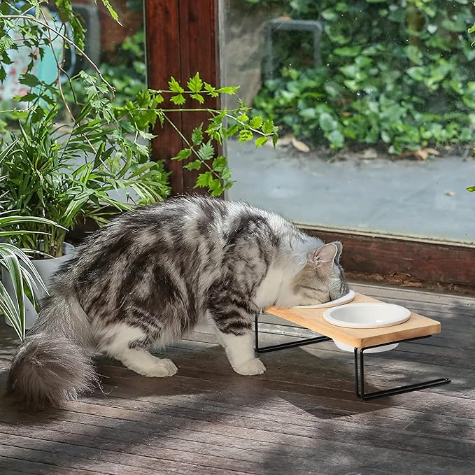 FUKUMARU Elevated Cat Ceramic Bowls, Small Dog Raised Food Feeding Dishes, Solid Wood Water Stand Feeder Set for Cats and Puppy