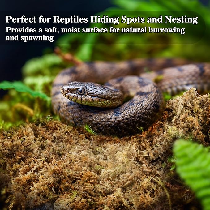 Sukh Sphagnum Moss for Reptiles - 3.5 OZ Reptile Peat Moss for Terrarium Bedding Reptiles Substrate for Reptile Tank, Snake, Leopard Gecko, Ball Python, Crested Gecko, Turtle, Frog, Hamster