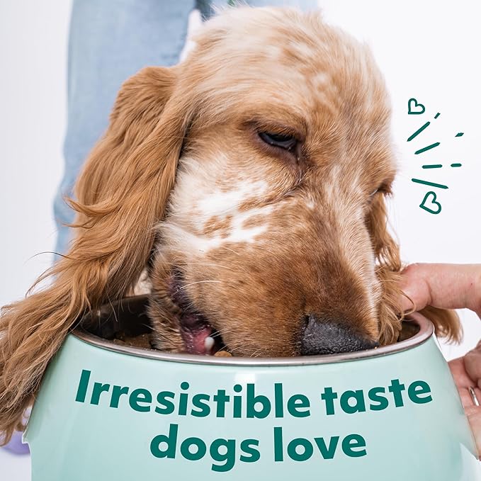 Optimeal Wet Dog Food Pouches - Puppy Grain Free Chicken & Beef Recipe, High Protein, Tender Morsels in Savory Sauce, Made with Natural Ingredients for Puppies, Premium Nutrition - 3 oz, Pack of 12