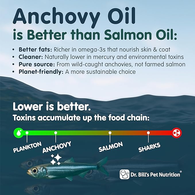 Dr. Bill’s Feline Optimum Skin & Coat – Fish Oil Omega-3 Fatty Acids for Cats Healthy Fur | Reduce Shedding and Hairballs with Biotin, Type I & III Marine Collagen, Hyaluronic Acid, & Folic Acid