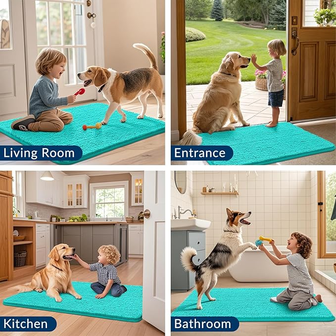 Smiry Dog Door Mat for Muddy Paws 24x16, Absorbs Moisture and Dirt Doormat, Non-Slip Washable Quick Dry Chenille Front Door Mat Indoor Entrance, Entryway Carpet for Inside Floor, Teal