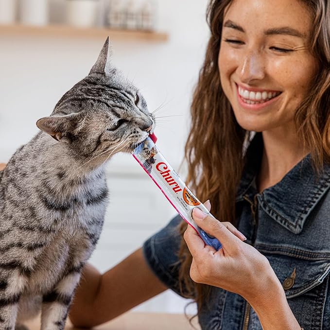 INABA Salmon Churu Cat Treats, Lickable, Squeezable Creamy Purée Cat Treat with Green Tea Extract & Taurine, 0.5 Ounces Each Tube, 20 Tubes, Scallop & Chicken Variety Box