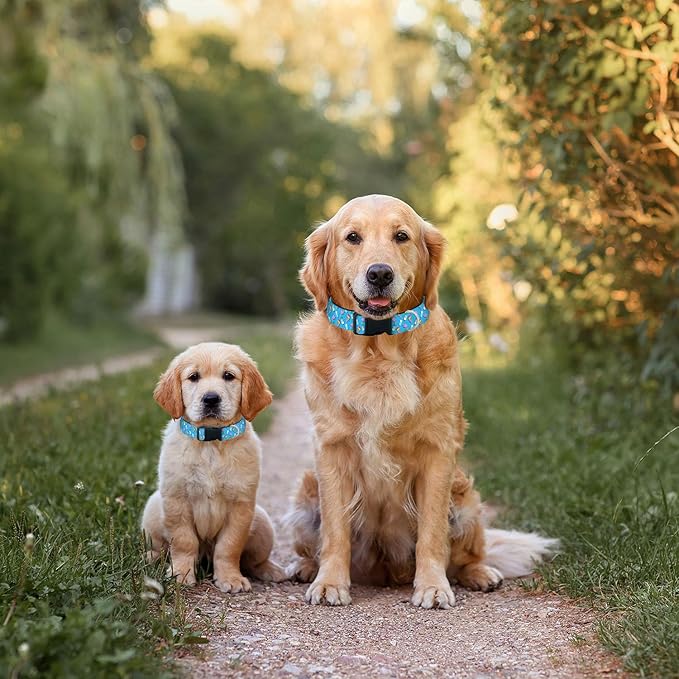 Blue Ice Cream Pet Collar Cat Dog Neck Strap Quick Release Buckle Adjustable Female Male Puppy Corgi