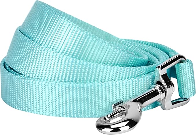 Blueberry Pet Essentials Mint Blue Dog Leash for Medium - 5' * 3/4" Dogs | Heavy Duty Nylon Lead | Lightweight Puppy & Cat Leash for Walking & Training