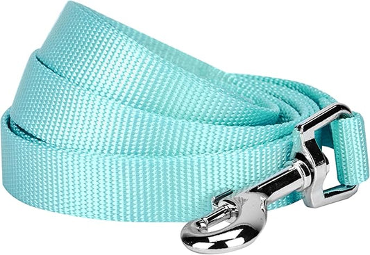 Blueberry Pet Essentials Mint Blue Dog Leash for Medium - 5' * 3/4" Dogs | Heavy Duty Nylon Lead | Lightweight Puppy & Cat Leash for Walking & Training