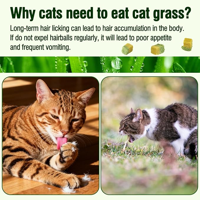 HavenJanny Freezed-Dried Cat Grass Treats, Catgrass Egg Yolk Duo Bites, Cat Dental Treats for Hairball Control and Healthy Coat, Cats Teething Stick (60g, EggYolk)