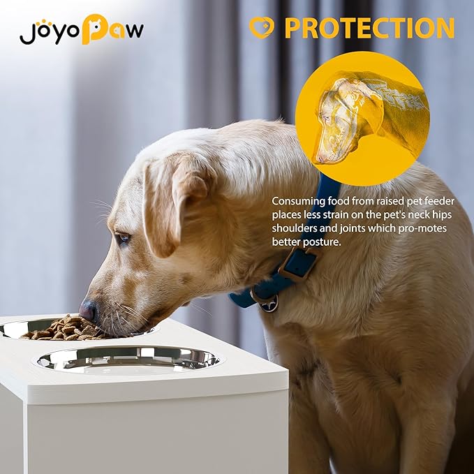 Elevated Dog Bowls, HIPS Raised Dog Bowl for Large Dogs & Medium Dogs, with 2 Stainless Steel Bowls (10'' Tall–48 oz Bowl, White)