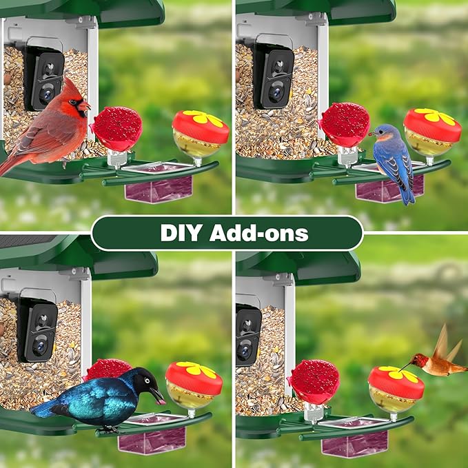 Bird Feeder with Camera Solar Powered : Smart Bird Camera Feeder 2K Live Feed for Backyard - AI Identify Auto Capture Videos, Gifts for Birdlovers Mom Dad, 2.4GHz WiFi