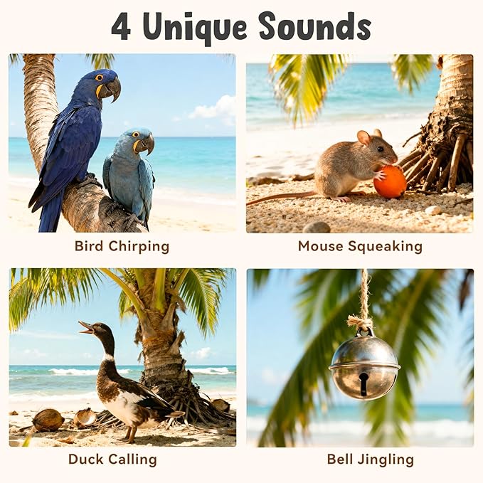 Interactive Cat Toys for Indoor Cats, Hanging Catnip Electric Kitten Toys - Automatic Flying Bird Cat Wand Toy for Bored Indoor with Timer Touch Start