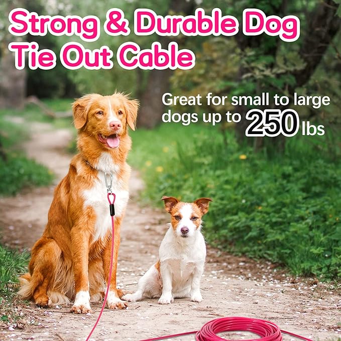 Tie Out Cable for Yards - Heavy Duty, Chew Proof, 10FT for Large Dogs Up to 250lbs