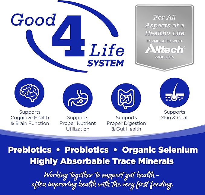 NutriSource Grain Free Heartland Select Recipe Dog Food, Premium Wet Dog Food, 12.3 Ounce (Pack of 12)