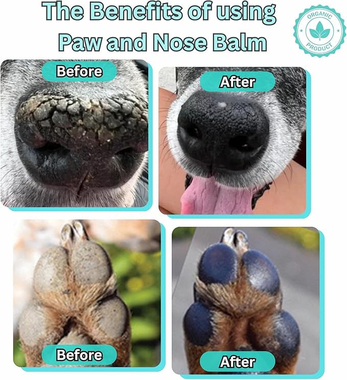 Lick-Safe Organic Paw & Nose Balm for Dogs, Cats – All-Natural, Vegan, Hypoallergenic – Heals, Protects & Restores Dry, Cracked Paws, Snouts & Elbows – Aloe, Avocado Oil, Beeswax 1.75 oz - (2 Pack)