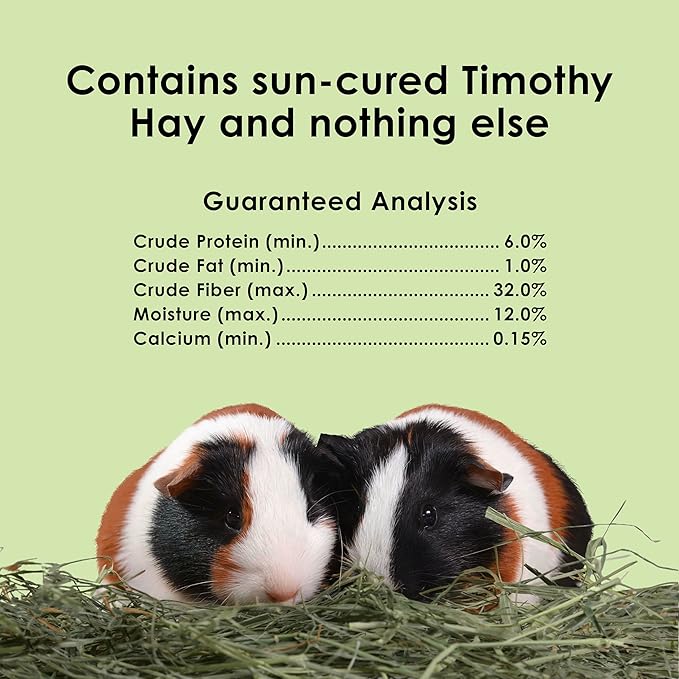 Kaytee Timothy Hay, High Fiber, Grown Specifically for Small Animals, Rabbits, Guinea Pigs, Chinchillas, Ideal Bulk Order for Small Pets, 12 pounds