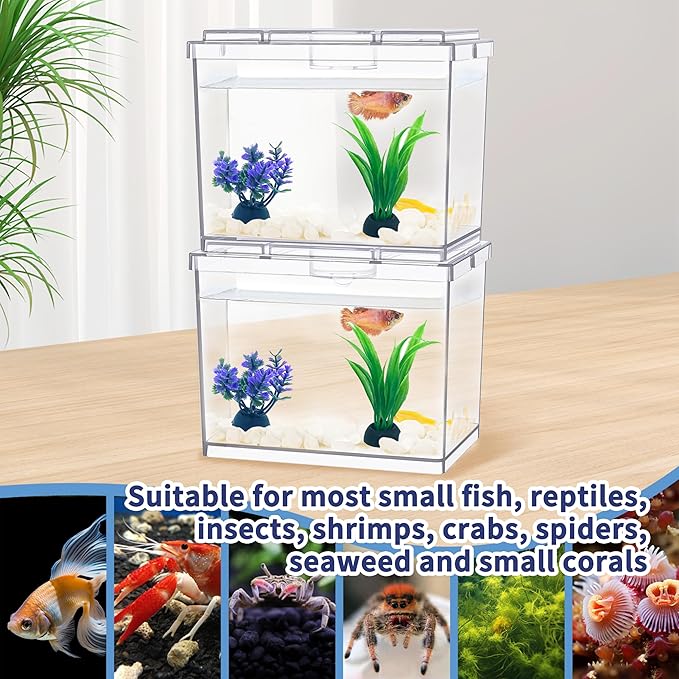 Mini Betta Fish Tank, Small Fish Bowl for Temporary Space, 0.2 Gallon Stackable Cube Tank with Artificial Plants and Gravels for Small Fish, Insect, Shrimp, Crab, Spider. (Pack-2)