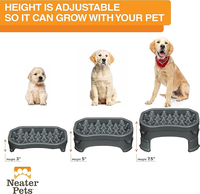 Neater Pet Brands – Neater Raised Slow Feeder Dog Bowl – Elevated and Adjustable Food Height - (6 Cup, Gunmetal)