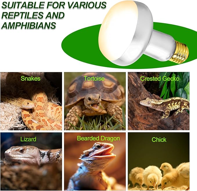 100W Reptile Heat Lamp Bulbs 2 Pack, UVA Basking Light Bulb with Simulate Natural Sunlight & E26 Base - 3000Hrs Basking Heating Lamp Bulb for Bearded Dragons, Turtles, Snakes, Lizards