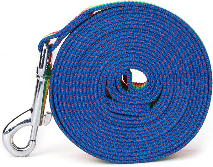 Strong Durable Nylon Dog Training Leash, 1 Inch Wide Traction Rope, 6 ft 10ft 15ft Long, for Small and Medium Dog (Rainbow, 10 Feet)