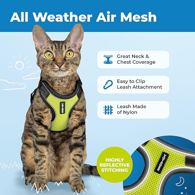 Voyager Escape Proof Cat Harness and Leash Set with Reflective Stitching, Neoprene Handle 5ft - Supports Small, Medium and Large Cats, Kittens for Walking by Best Pet Supplies - Black Trim-Lime, XXS