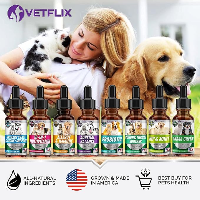 Kennel Cough Treatment for Dogs & Cats - Made in USA - Dog Allergy & Cat Asthma Relief - Mullen Leaf & Elderberry Blend - Dry, Wet & Barky Cough Relief for Dogs & Cats - All Breeds & Sizes - 2 Fl Oz