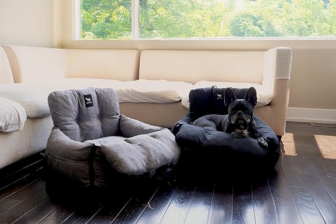 JACKO & CO - Premium Dog Car Seat v2 Booster Seat for Small & Medium Pets Under 25lbs - Machine Washable w Removable Cover Water Resistant w Clip-On Leash for Front or Back Seat (Black/Small (1-25lbs)