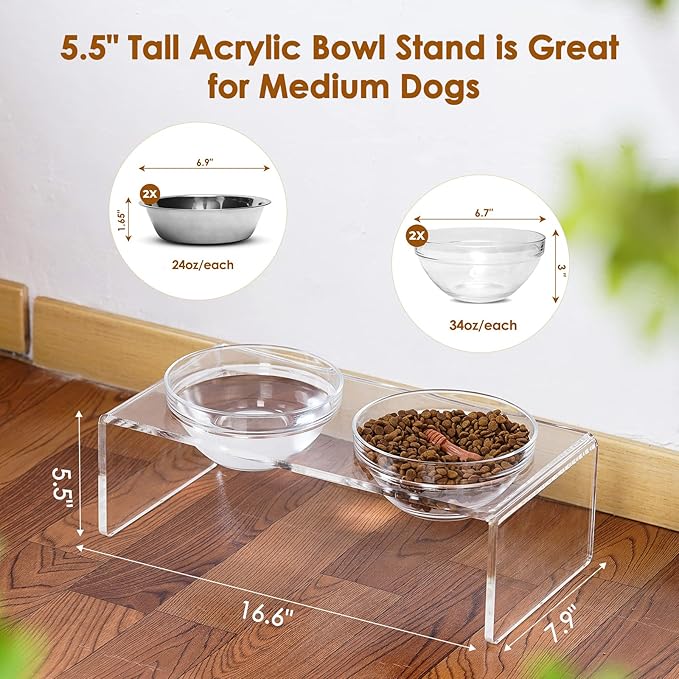 Acrylic Elevated Dog Cat Bowls Pet Feeder Double Bowl Raised Stand Comes with 2 Removable Glass Bowls and 2 Stainless Steel Bowls.Perfect for Medium Dogs, 5.5" Tall