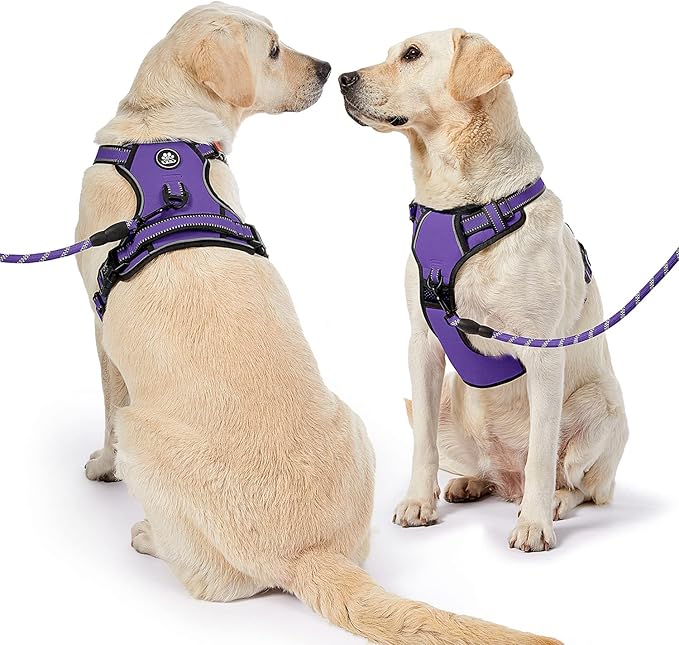 NESTROAD No Pull Dog Harness,Adjustable Oxford Dog Vest Harness with Leash,Reflective No-Choke Pet Harness with Easy Control Soft Handle for Small Medium Dogs(Medium,Purple)