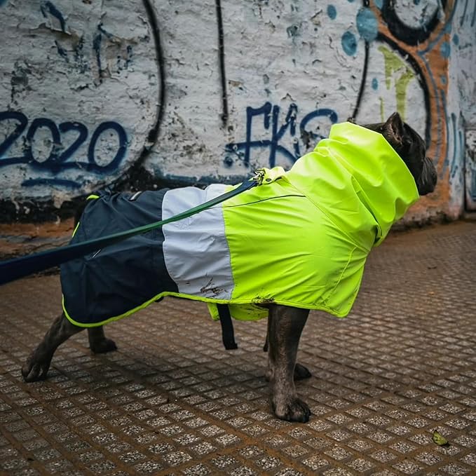 Spark Paws Dog Raincoat, Waterproof Windproof Rain Jacket, for Small Medium Large Extra Large Dogs, Reflective Breathable Full-Body Coverage Dry Suit - Neon White Navy Blue, L