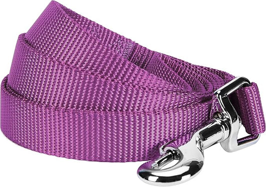 Blueberry Pet Essentials Violet Dog Leash for X-Small -5' * 3/8" Dogs | Heavy Duty Nylon Lead | Lightweight Puppy & Cat Leash for Walking & Training