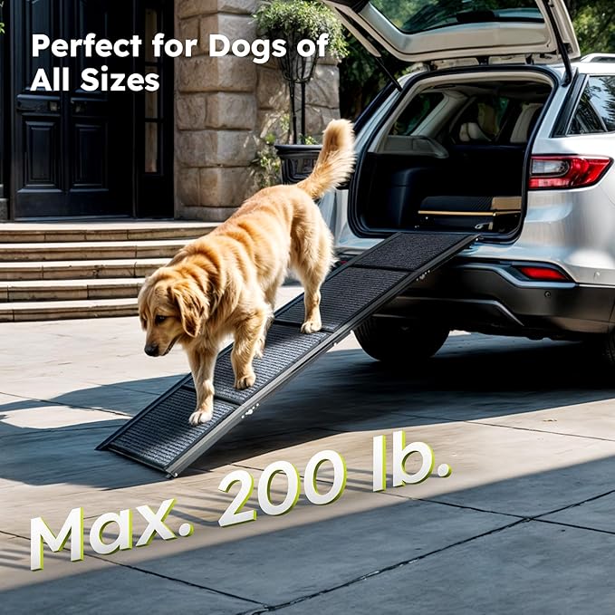 Dog Ramp for Car, 63" Folding Pet Ramp for Large Dogs up to 200 lb, 17" Wide Car Ramp for Dog, Portable Pet Stair Ramp with Nonslip Rug Surface, Outdoor Dog Ramp for Truck SUV High Bed Couch