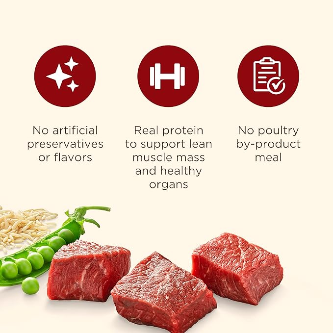 Nutrish Dry Dog Food, Real Beef, Pea & Brown Rice Recipe Whole Health Blend for Adult Dogs, 6 lb. Bag (Rachael Ray)