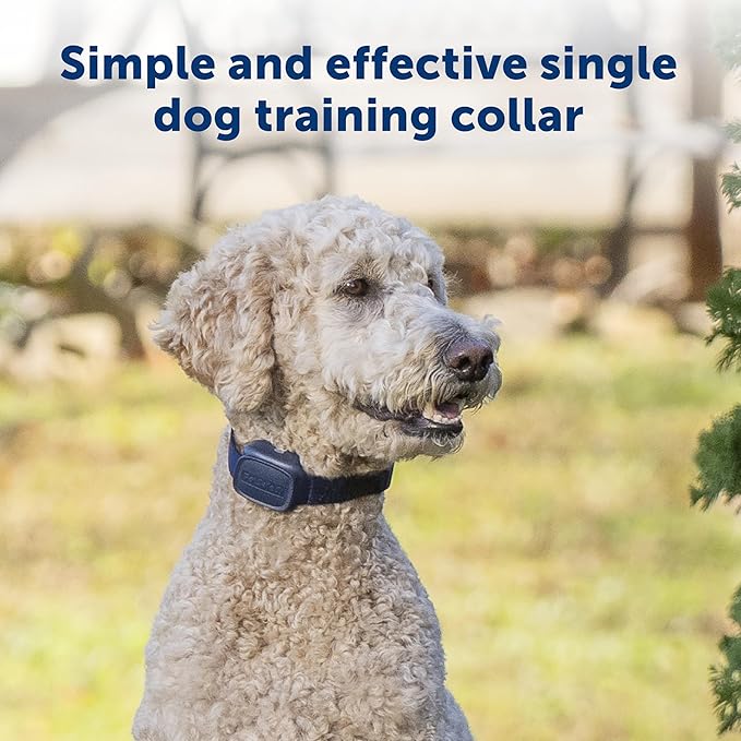 PetSafe Basic Dog Trainer with Remote – Waterproof Training Collar – 300 ft Range – Tone, Vibration and Eight Levels of Static