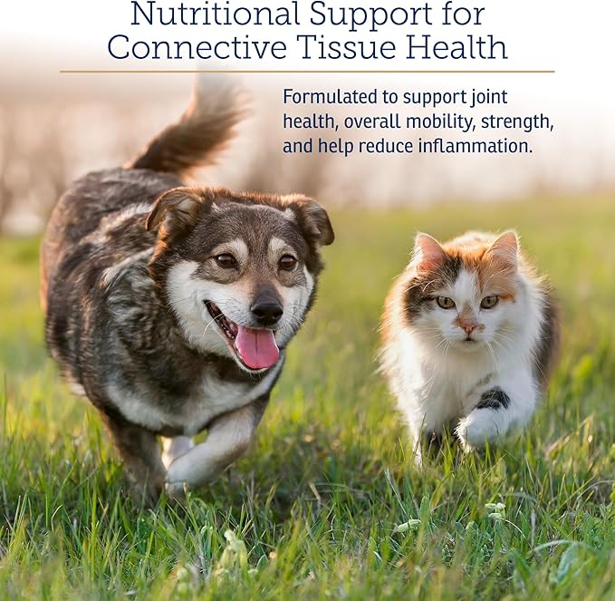 Rx Vitamins NutriFlex for Cats & Dogs - Glucosamine for Dogs Hip and Joint Supplement - with Bovine Collagen and Chondroitin - Joint Pain Relief & Anti Inflammatory for Dogs - Beef Liver (90 Chews)