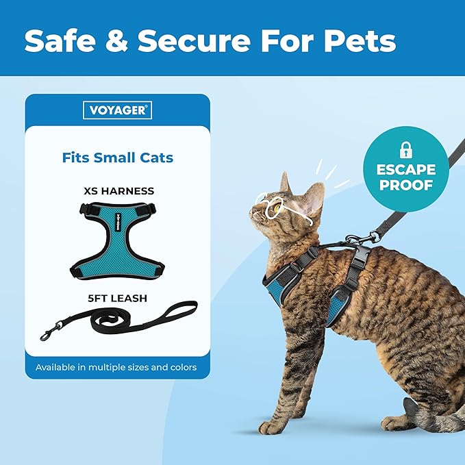 Voyager Escape Proof Cat Harness and Leash Set with Reflective Stitching, Neoprene Handle 5ft - Supports Small, Medium and Large Cats, Kittens for Walking by Best Pet Supplies - BT-Turquoise, XS