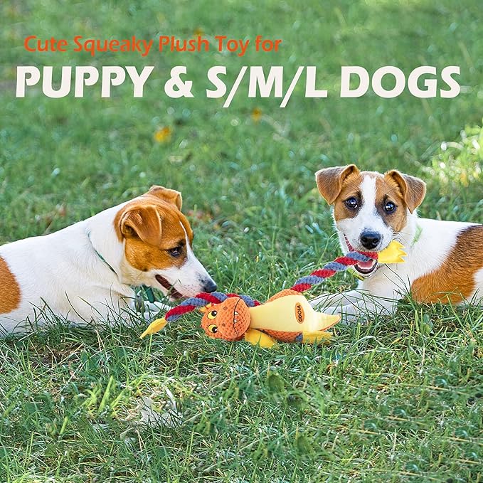 GOOLA Dog Squeaky Toys, Cute Dragon Interactive Plush Stuffed Toy with 5 Squeakers and Crinkle Paper,Pet Rope Chew Toy for Puppy Small Medium Large Breed Dogs