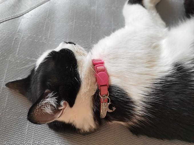 Rhinestone Cat Collar Breakaway with Bell Safety Buckle, Adjustable Diamond Girl Boy Kitty Cute Comfy Collar for Kitten Tiny Little Pets Rabbits, 6"-9" Purple Extra Small