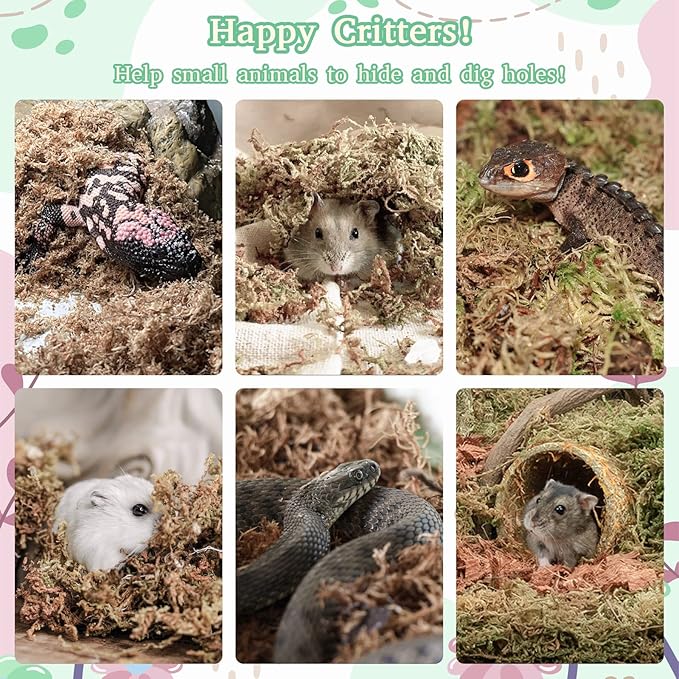 Riare 14OZ Premium Sphagnum Moss for Reptiles- 20QT Natural Reptile Moss Dried, Forest Live Moss for Terrarium, Frogs Snake Peat Moss Bedding for Leopard Gecko Turtle Anoles Salamanders Orchids Plants