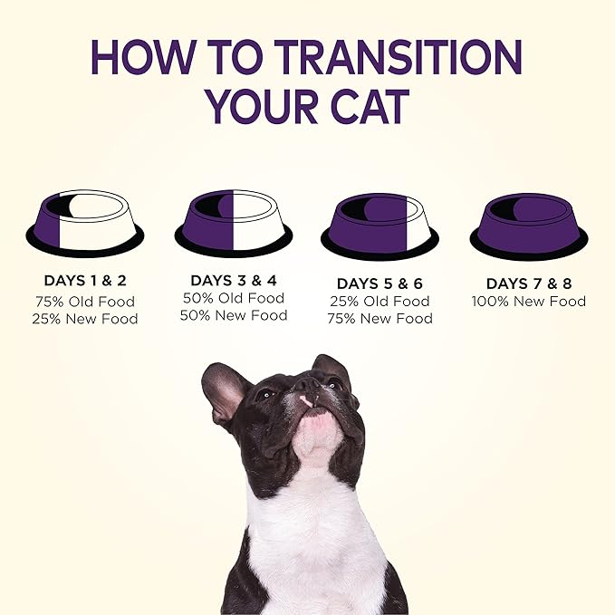 Wellness Complete Health Dry Dog Food, Grain Free, Natural, Lamb Recipe, (24-Pound Bag)