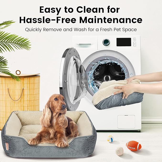 Miguel Dog Bed with Removable Cushion/Pillow for Medium Small Dogs, Washable Pet Bed with Side Easy to Wash Puppy Bed, Large Rectangle Cat Bed for Indoor Cat with Anti-Slip Bottom, Gray 35 Inch