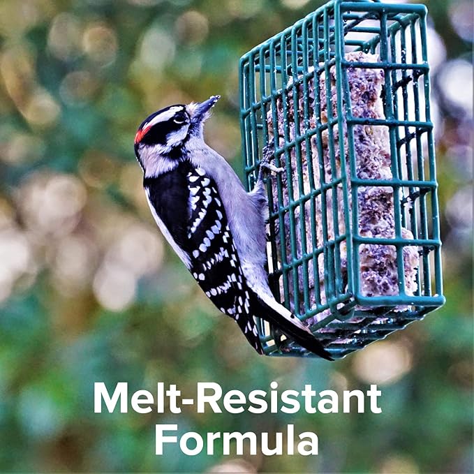 Blue Seal Hot Pepper Suet Cakes for Wild Birds | No Mess Suet Feed with Cracked Corn | Food for Woodpeckers, Cardinals, Siskins & Sparrows | Use with Suet Feeder | 11oz Seed Cake (12 Pack)