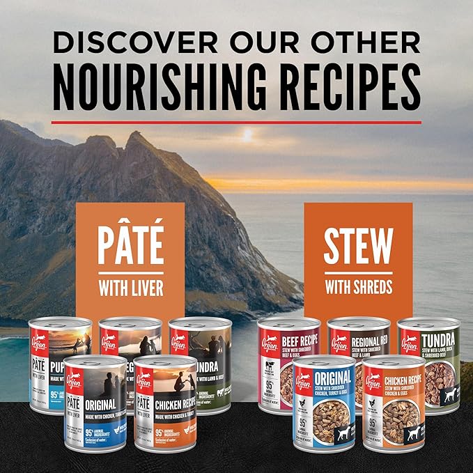 ORIJEN Real Meat Shreds, Grain-Free, Chicken Recipe Stew, Premium Wet Dog Food