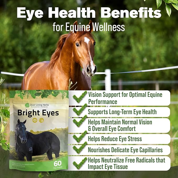Silver Lining Herbs Bright Eyes Vitamins - Horses Eye Supplements to Support Capillary Health, Great Vision, & Overall Eye Health - Plant-Based Herbal Horse Supplements - 1 lb 60-Day Supply