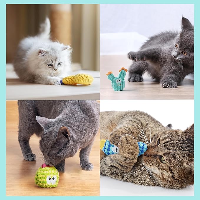 5 Pack Cactus Catnip Toys, 100% Organic Catnip Toys for Indoor Cats, Interactive Plush Chew Fun Without Cotton, Teething Soft Kittens Toys for Kitty, Colorful