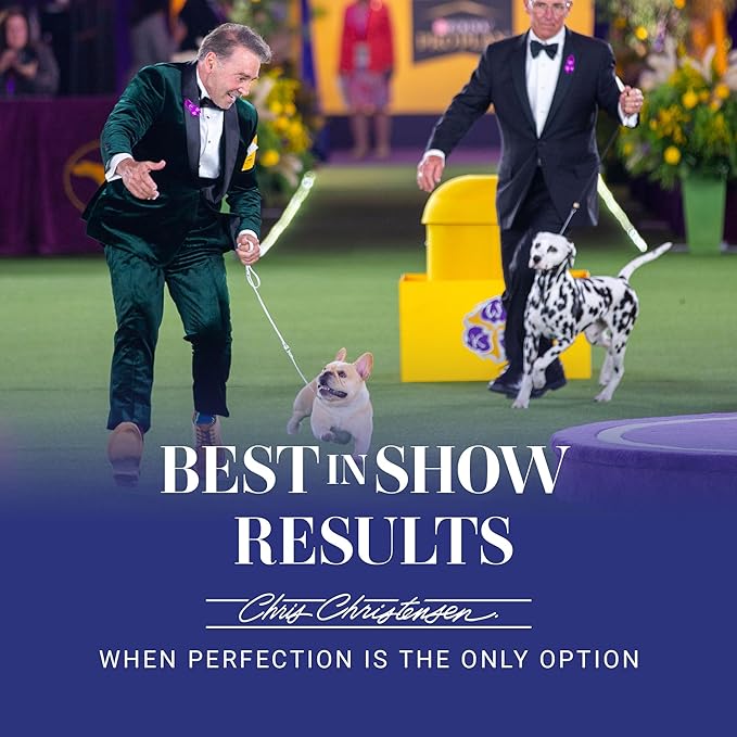 Chris Christensen Ice on Ice Strengthening Dog Shampoo, Groom Like a Professional, Revives Dry, Damaged Coats and Strands, All Coat Types, Made in USA, 1gal