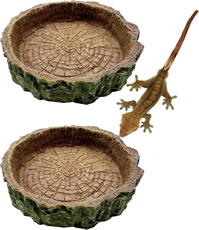 2 Pack Reptile Food Bowls, Reptile Feeding Terrarium Bowls for Bearded Dragon Lizard Frog Gecko Tortoise Hermit Crab Snail (Brown A)
