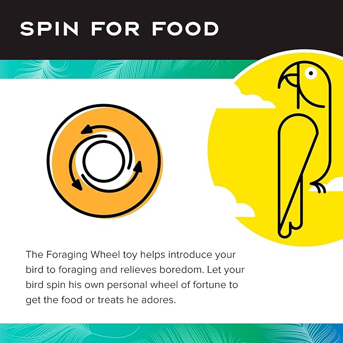 Paradise Toys Bird Creative Foraging System Wheel, Spins with Food Inside, 6” Diameter