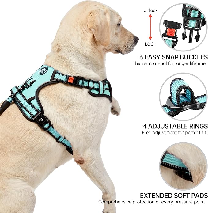 NESTROAD No Pull Dog Harness,Adjustable Oxford Dog Vest Harness with Leash,Reflective No-Choke Pet Harness with Easy Control Soft Handle for Medium Dogs(Medium,Turquoise)